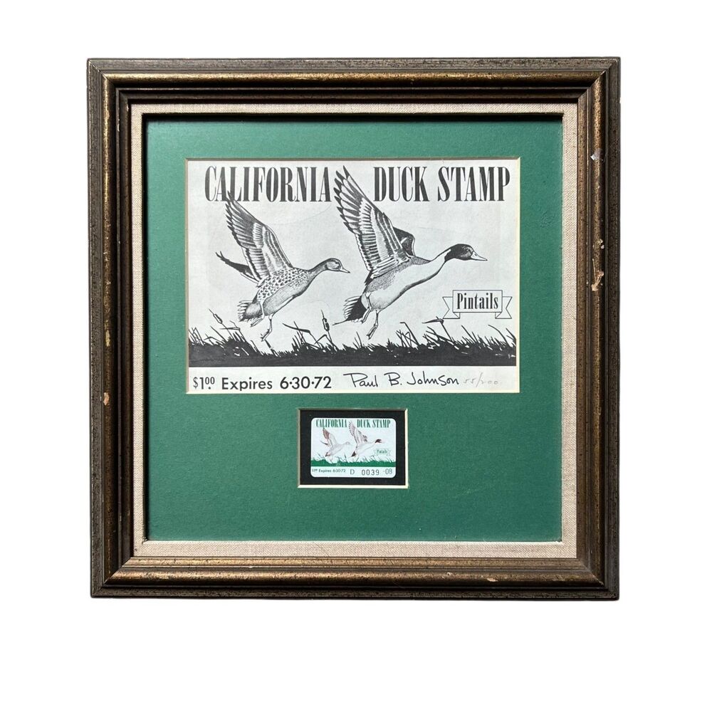 1972 California State Duck Stamp Framed Print Paul B. Johnson Pintail 55/200
